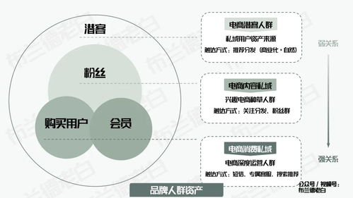 四维升级 万字梳理食品品牌抖音电商数字化增长指南